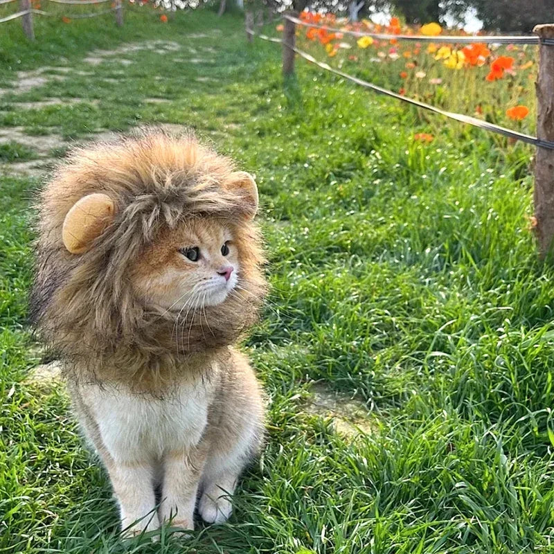 Lion Mane Pet Costume - Transform Cat or Puppy Into King