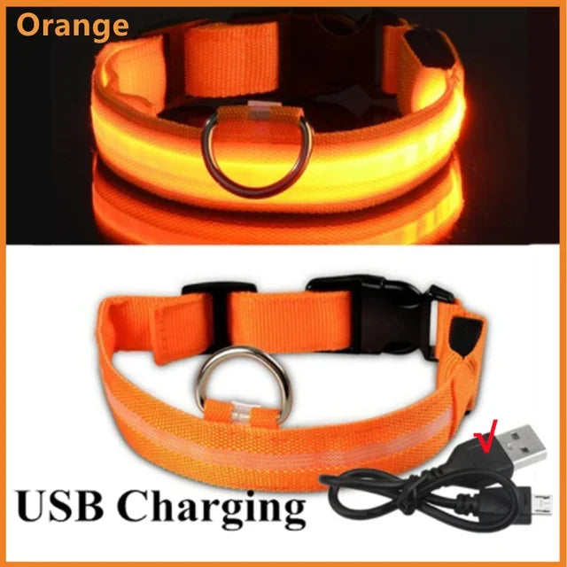 LED Dog Collar Rechargeable - Safety Light Up Pet Collar