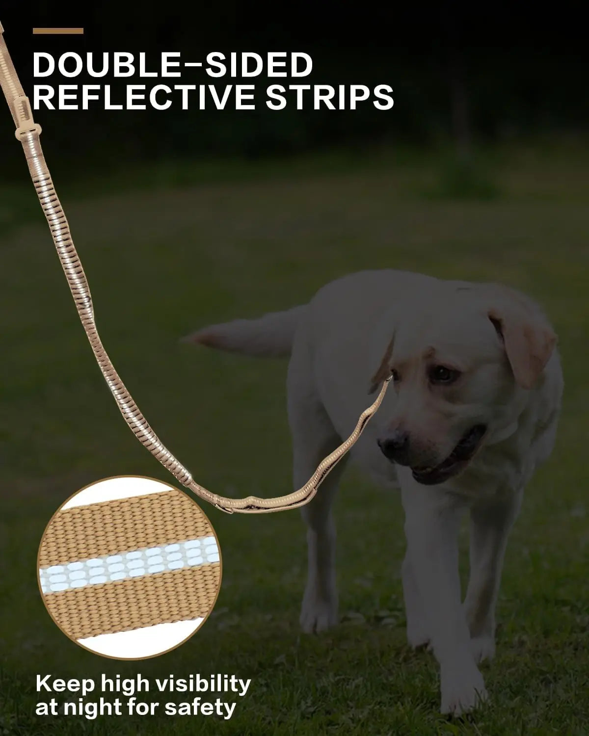 4-in-1 No Pull Reflective Bungee Dog Leash