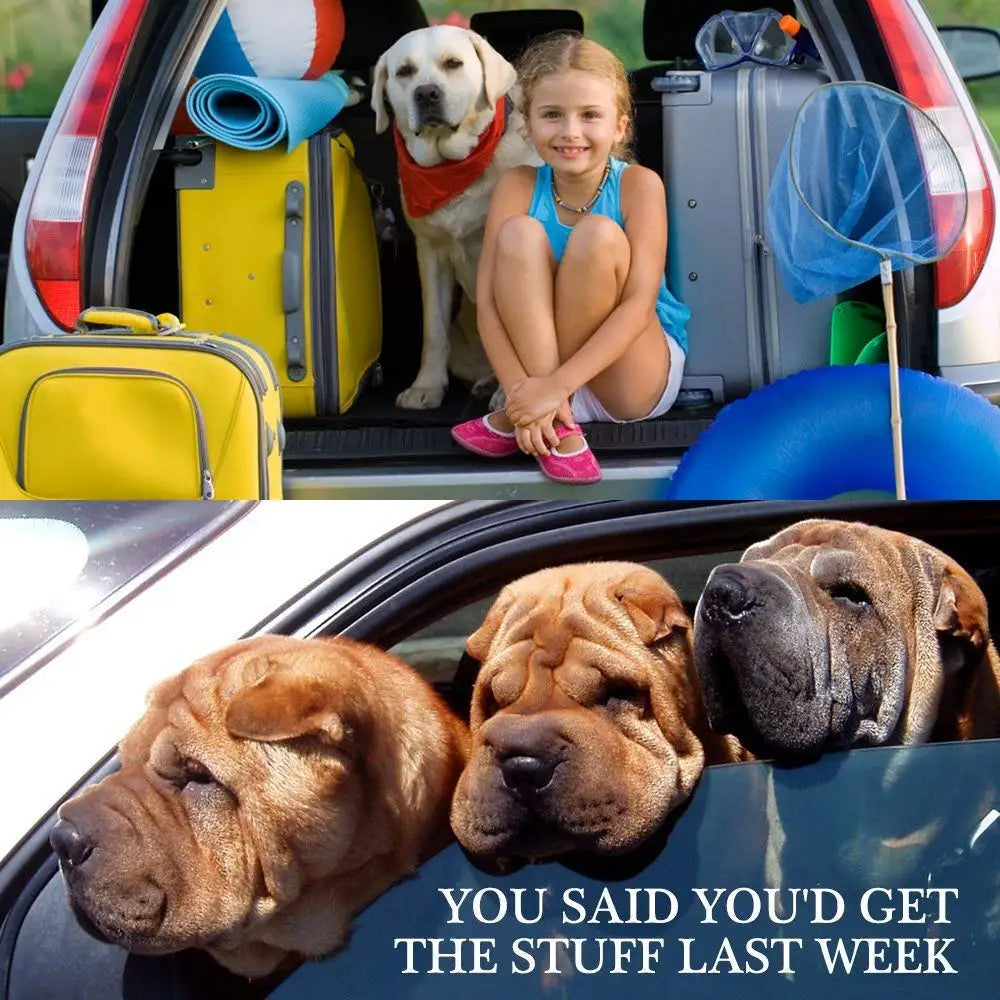 Universal Pet Car Seat Belt - Adjustable Dog Cat Safety Harness