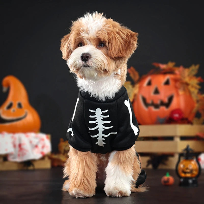 Glow in Dark Skeleton Dog Costume - Halloween Pet Jumpsuit