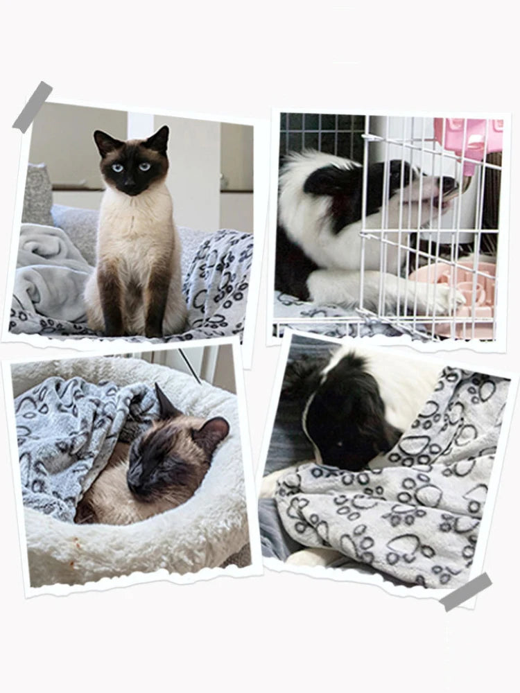 Soft Fluffy Pet Blanket