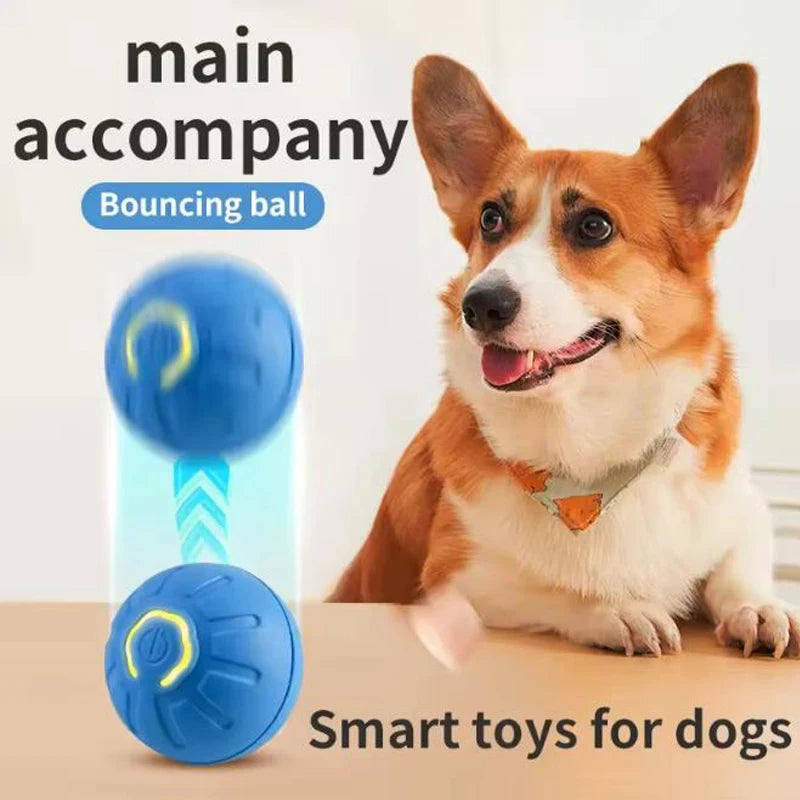 Smart Interactive Pet Ball - They Play You Work Auto Toy
