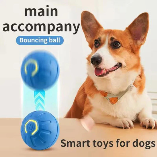 Smart Interactive Pet Ball - They Play You Work Auto Toy