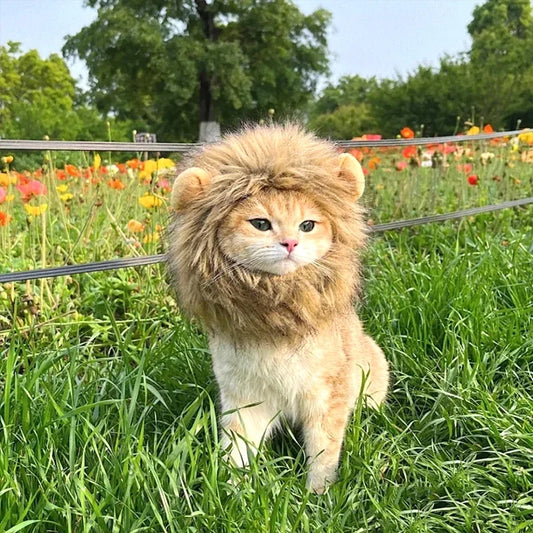 Lion Mane Pet Costume - Transform Cat or Puppy Into King