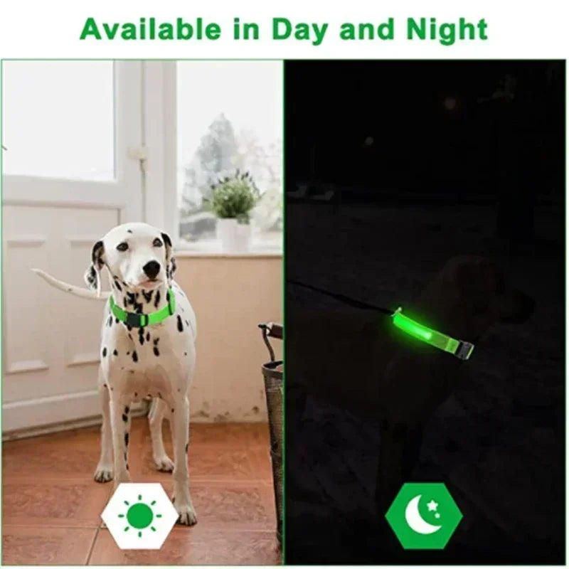 LED Dog Collar Rechargeable - Safety Light Up Pet Collar