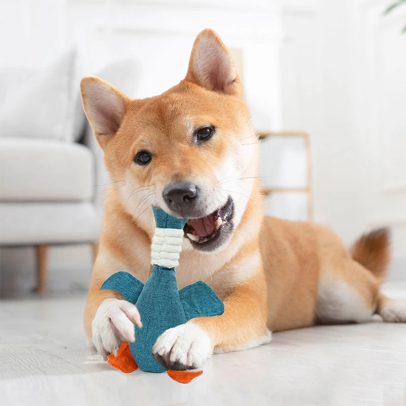 Wild Goose Training Toy - Multi-Purpose Squeaky Chew All Sizes