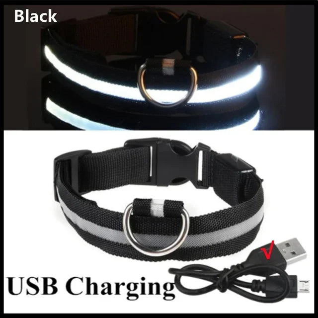 LED Dog Collar Rechargeable - Safety Light Up Pet Collar