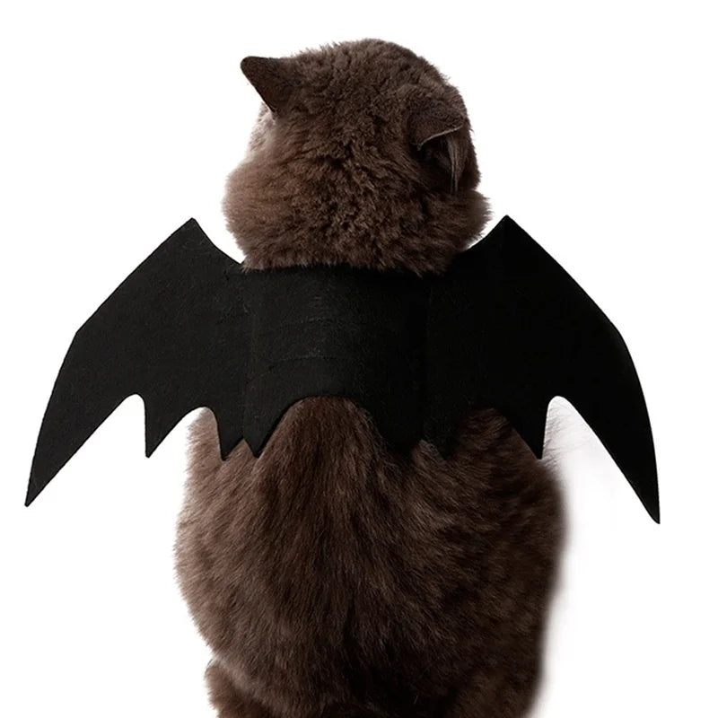 Halloween Bat Wings Pet Costume - Black Pet Harness Wings
