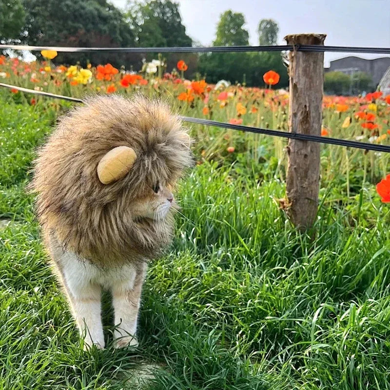 Lion Mane Pet Costume - Transform Cat or Puppy Into King