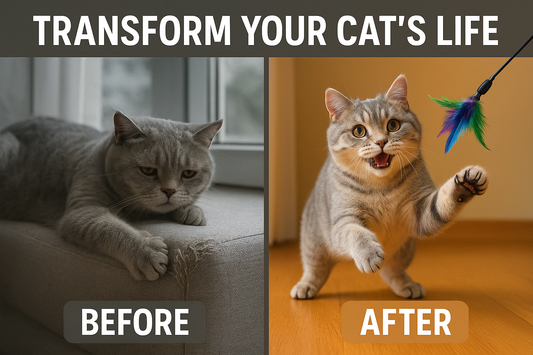 Before After