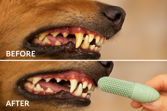 Before and After Teeth