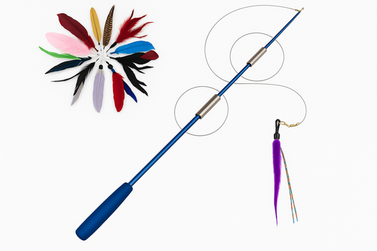Cat toy set on white background