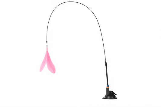 Cat toy wand on white background