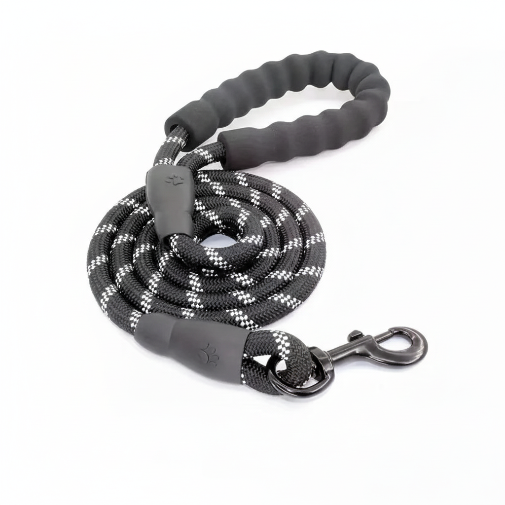 Dog Leash Product Photo