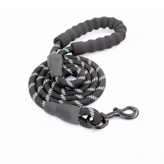 Dog Leash Product Photo