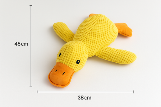 Hero Duck Toy