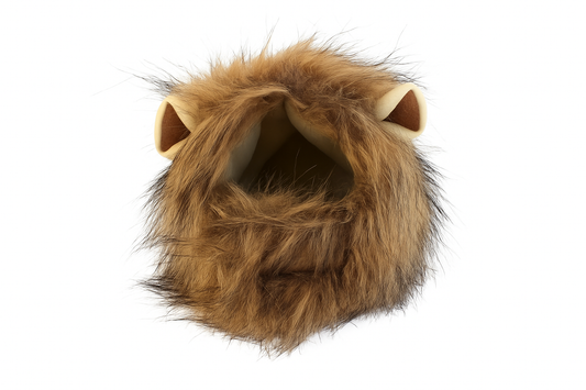 Lion mane pet costume on white background